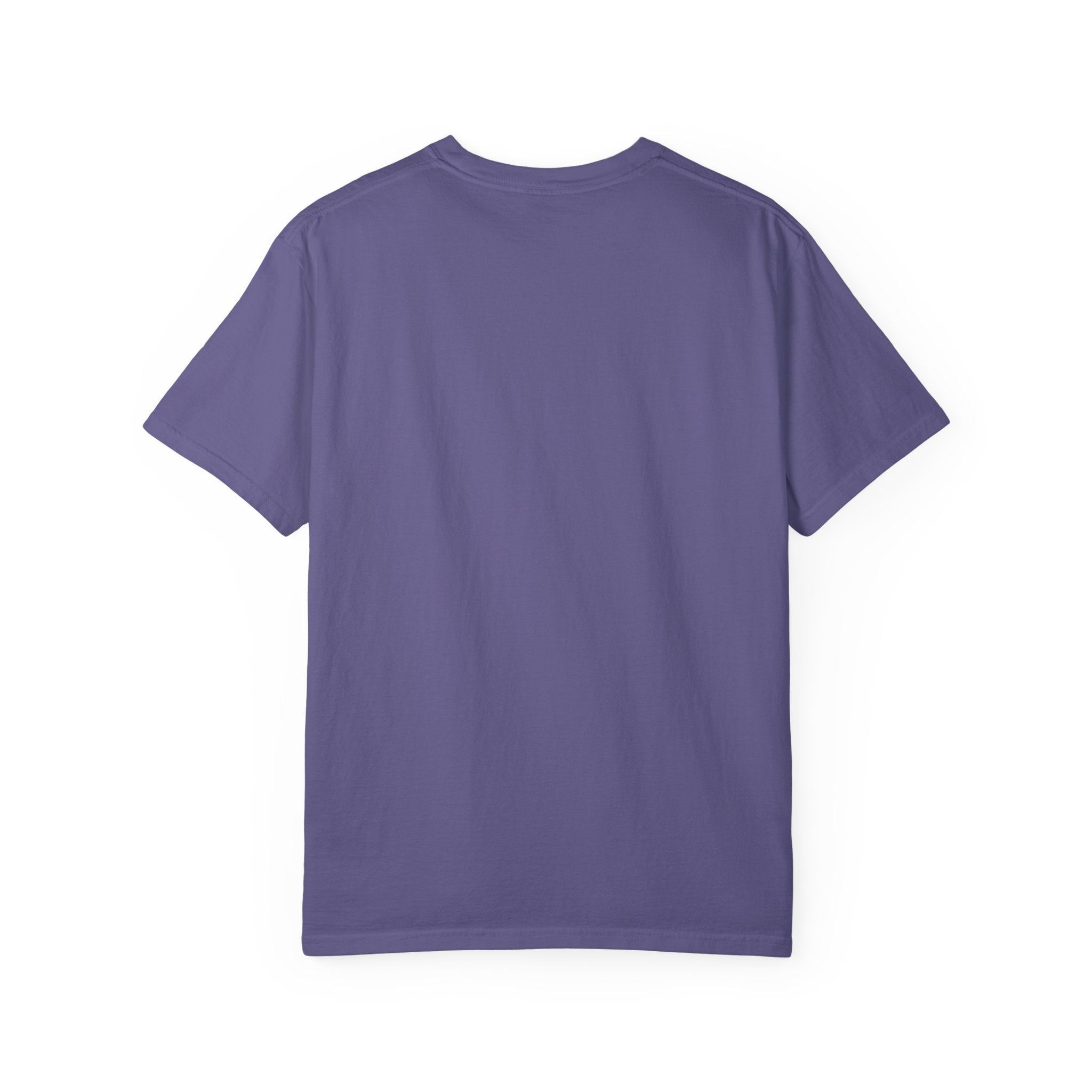 Border Collie Flyball (Black) - T-Shirt